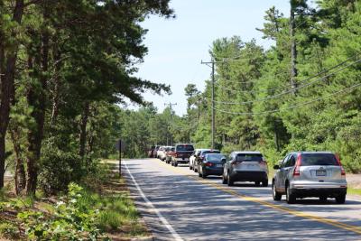 Cars lined up for nearly a half-mile past the Municipal Maintenance Department on Saturday, Aug. 1. Photo by Nick Mossman