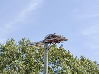Eversource was able to build this platform on a support pole with no wires.