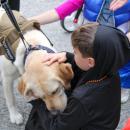 Lexi the comfort dogs gives some kisses instead of candy.