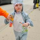 Jaws comes to Main Street as William Gropman dresses as a shark.