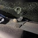 Sea the damage of the feathery criminal. Photos source: The Wareham Department of Natural Resources