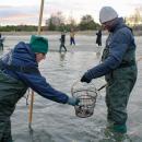 Two event-goers help each other out in the water.