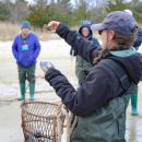 The quahog wouldn't be in regulation standards if it could fit through the hole in the sizing tool.