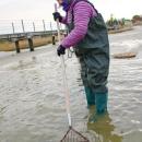 From guest to shellfisher.