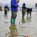 The buckets await fresh quahogs.