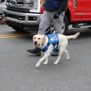 Lexi on her way to help Santa.
