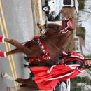 Festive horses cruise through the neigh-borhood.