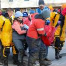 The second dolphin is carried into the truck to see the on-hand vet.