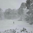 A lone Warehamite in Parkwood Beach. Photo source: Lauren Timmons