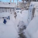 Fence-level snowfall. Photo source: June Rose