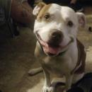 Estia who was at Santoro's side for 6 years.