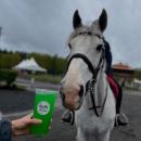 A drink and a contestant from an equestrian event the horse trailer cafe traveled to. Photo source: Frothy Bit 