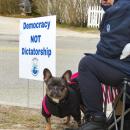 Maeve the dog attended the protest with her owner Alan Hesse.