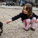 Alaina Paras, 5, reaches for a cuddly puppy. 