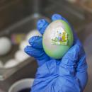 One egg from the event.