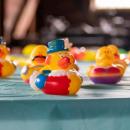 A very patriotic duck looks ready to race in 2025. File photo