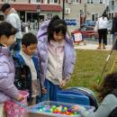 Eggs are given back for next years hunt.