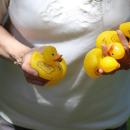 A handful of ducks.