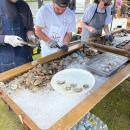 Oysters