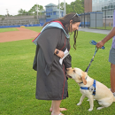 A staff member pets the Wareham Police comfort dog. 