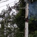 A hole burned into a utility pole on Cromesett Road on Monday, July 6, knocking out power to residents. Source: Laura Taylor