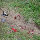 Scattered, shattered pieces of car lights sit in the lawn behind the 7-Eleven. 
