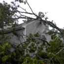 The tree fell onto Susan Mastria's Woodside Avenue home just before 3 a.m. on Saturday, Sept. 26. Photos by Christian Uva