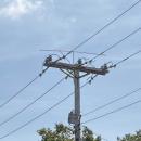 Raptor Guards and a T-type deterrent are used in tandem to keep birds off this pole.