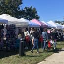 Hundreds of people attended the fair at Besse park.