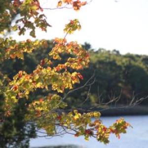 Fall foliage along the Weweantic. File photo