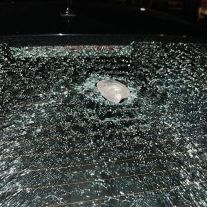 The impact hole made by the quahog.