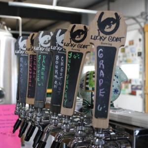 The Lucky Goat's taps. Photos by Brandy Muz