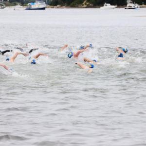 Participants swim in a previous Buzzards Bay Swim. Source: Coco Mandle
