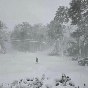 A lone Warehamite in Parkwood Beach. Photo source: Lauren Timmons