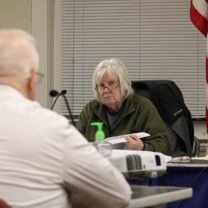 Chair of the Conservation Commission, Sandra Slavin, speaks to the group with Safe Harbor Marinas. Photo by Brandy Muz