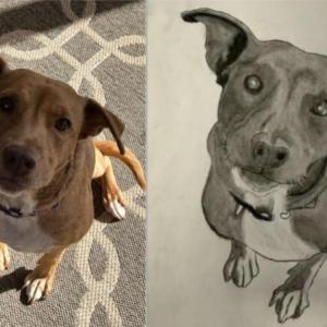 Phenoix who was adopted recently, drawn by  Ajani Rakotoarimanitra-Bunting.