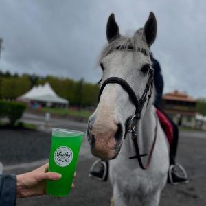 A drink and a contestant from an equestrian event the horse trailer cafe traveled to. Photo source: Frothy Bit 
