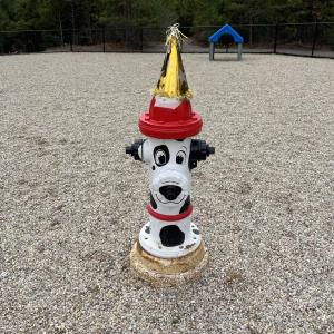 Park mascot Wayne at the 2025 PAWty. Photo source: Sally Morrison