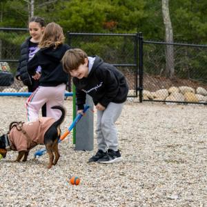 Grayson, 6, giggles with a tennis ball launcher in hand at the Wareham Dog Park on Saturday, April 18. Photos by Grace Roche