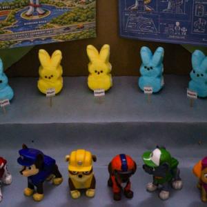 Members of the Planning Board team up with Paw Patrol.