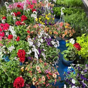Hanging baskets made available.