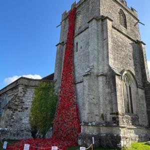 Poppies in Wareham, United Kingdom. Photo source: Claire Smith