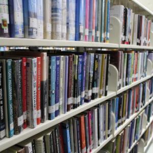 Though the library does offer more than just books, it does still have the classics.