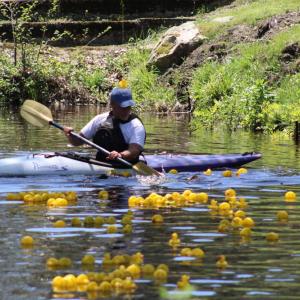No ducks are getting past Patrick Marshall.