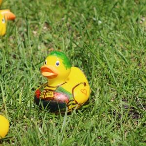 Ducking around in the grass.