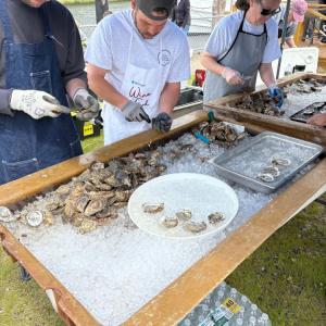 Oysters
