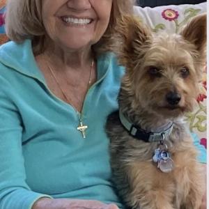 Carol Angel Mirabito, 86