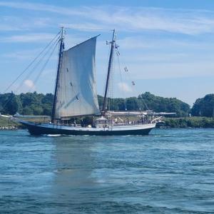The Liberty Clipper. Source: Garry Buckminster