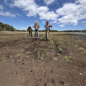 Volunteers work on the farm. 