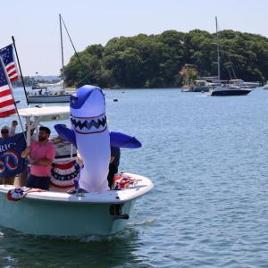 Shark